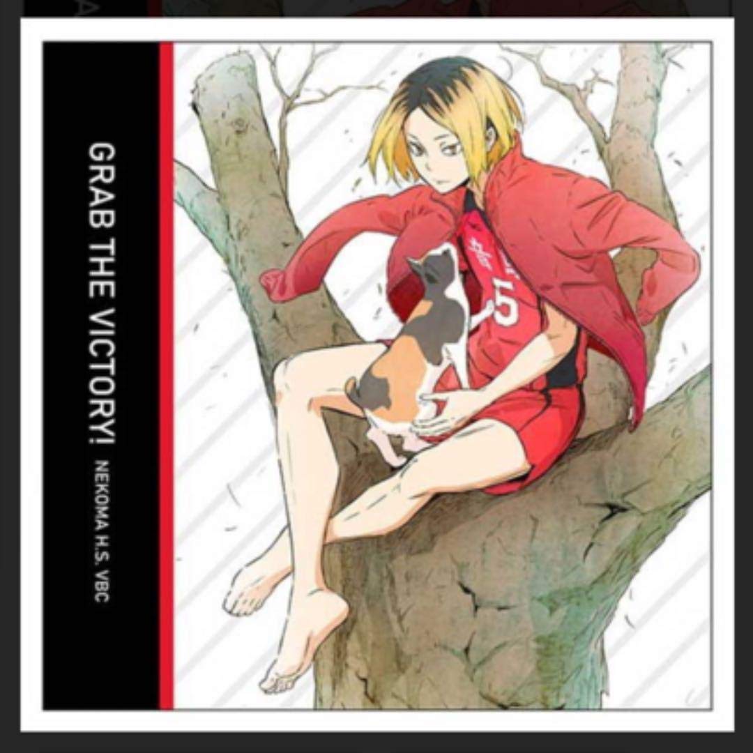 Amazon.co.jp: ハイキュー 孤爪研磨 描き下ろしタペストリー  