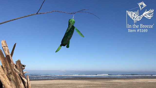 Amazon.com: In the Breeze 5169 — 3D Sea Turtle Windsock — Hanging