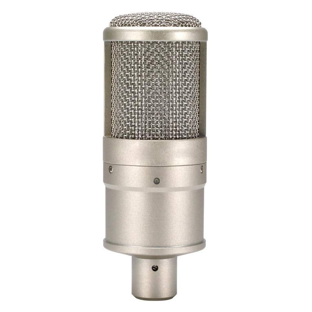 Microphone à condensateur haute sensibilité pour performance sur scène et PC