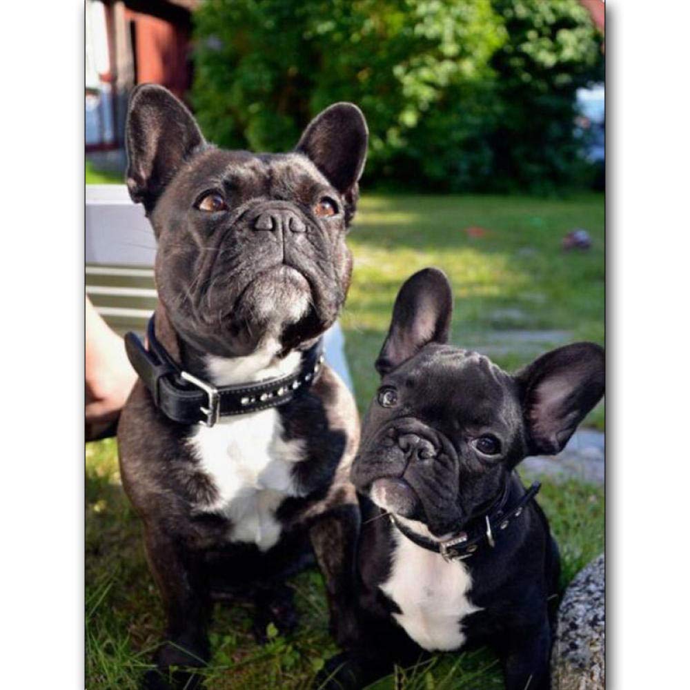 Puzzle 2000 Teile Papierpuzzle für Erwachsene Papierpuzzle Französische Bulldogge Cartoon-Hund Puzzlespielzeug für Erwachsene und Kinder, Puzzle-Bastelset 70x100CM