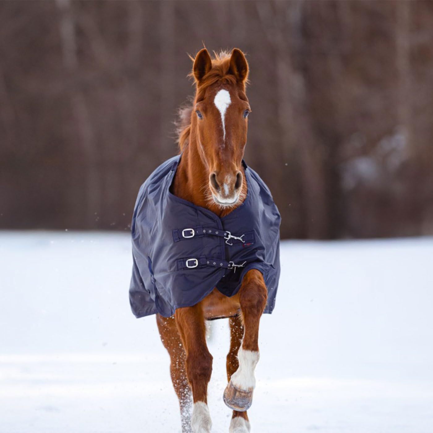 Coperta invernale per cavallo, RugBe IceProtect, coperta per esterni, con imbottitura da 200 g, 600 denari, resistente all'acqua fino a 3000 mm (155)