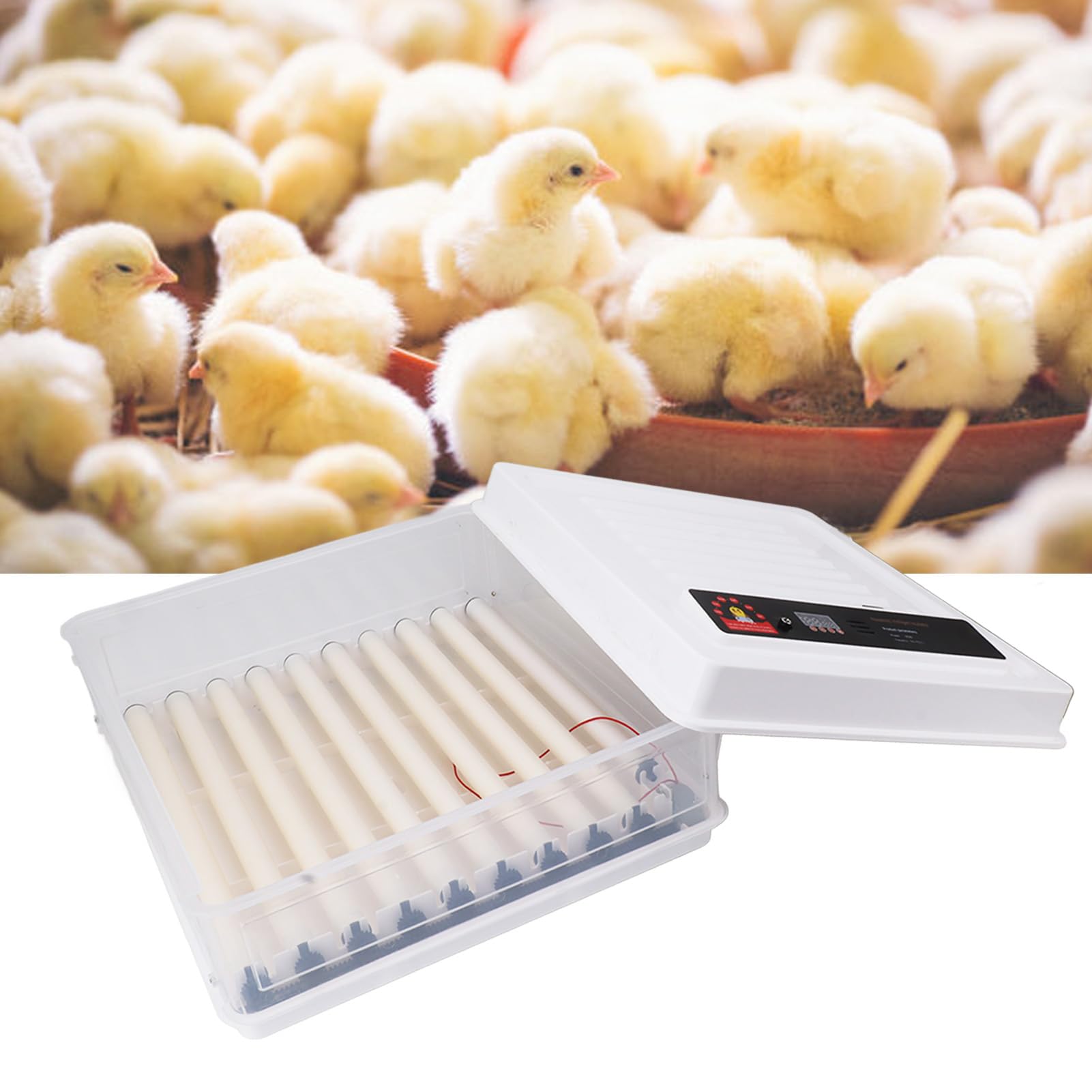 Fdit Candela LED per Incubatrice Automatica per Uova, Kit di Schiusa a Doppia Alimentazione (Spina europea 220 V 64 uova)