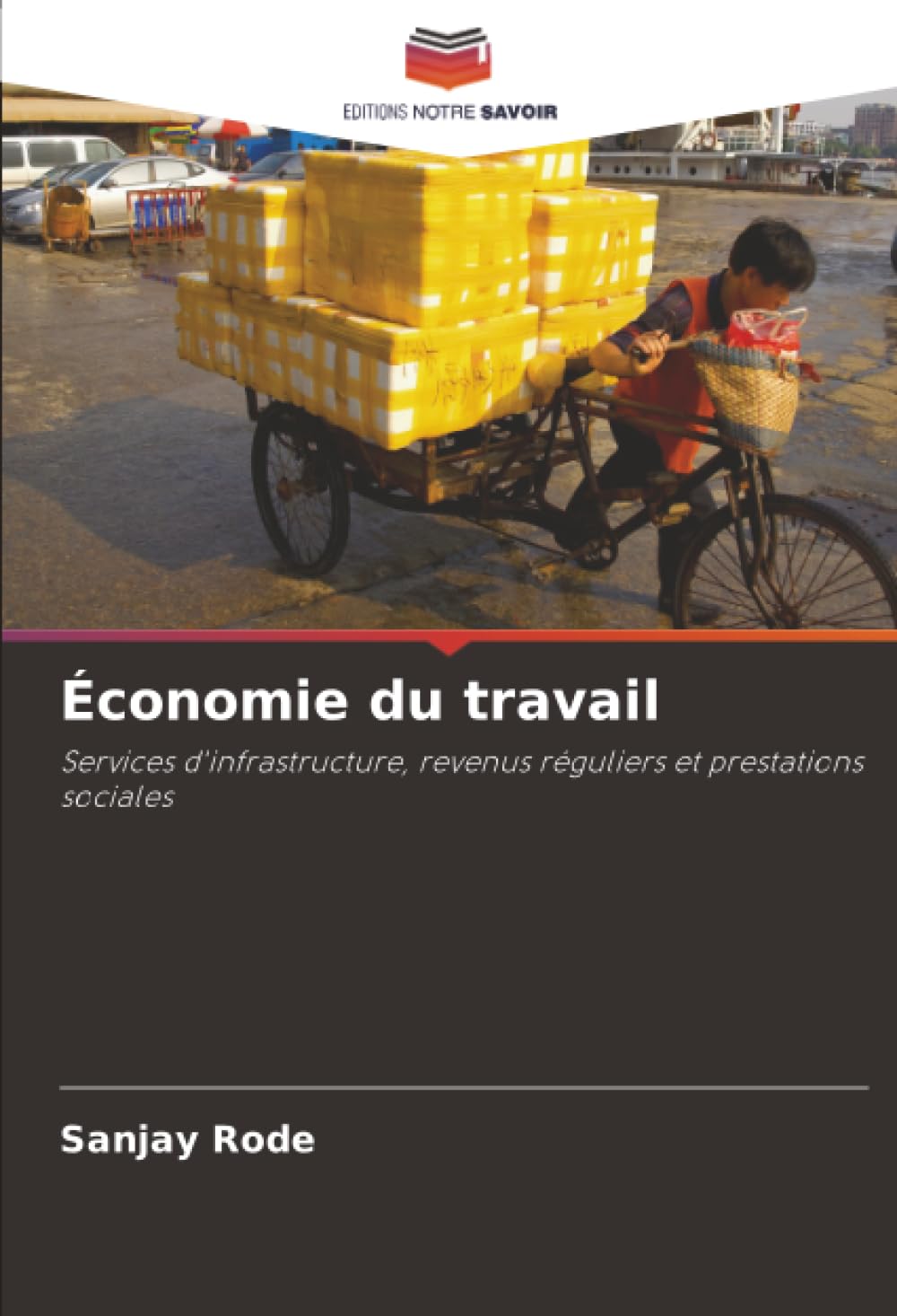 Économie du travail: Services d'infrastructure, revenus réguliers et prestations sociales