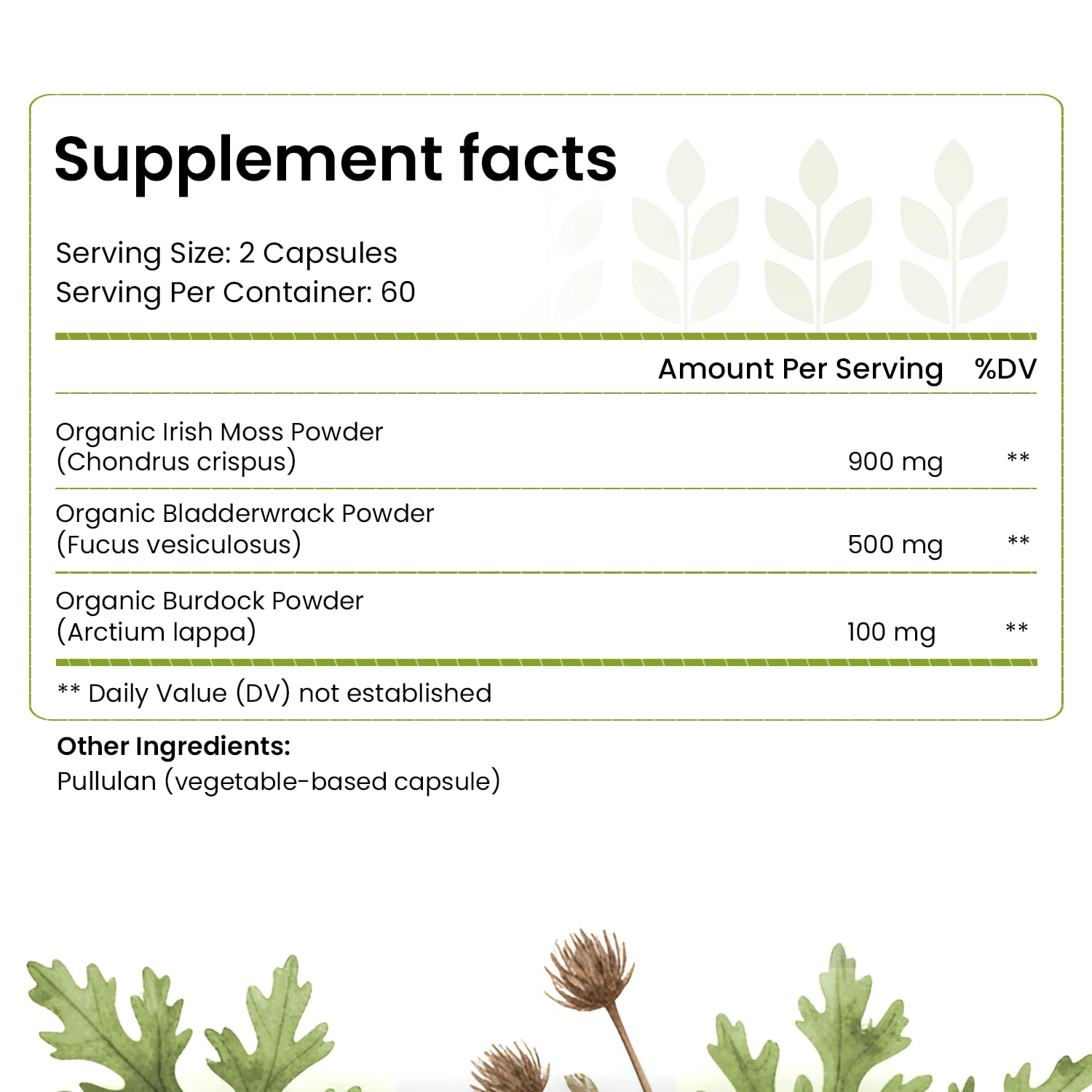 Organic Irish Sea Moss Capsules: Wildcrafted Sea Moss, Burdock Root & Bladderwrack Prebiotic Super Food for Immune Support, Thyroid Support, Natural Energy, -120 Caps