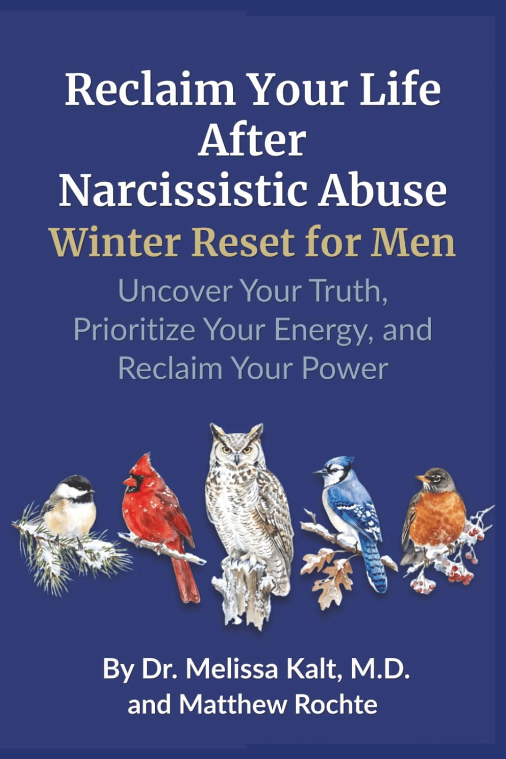 Reclaim Your Life After Narcissistic Abuse – Winter Reset for Men: Uncover Your Truth, Prioritize Your Energy, and Reclaim Your Power