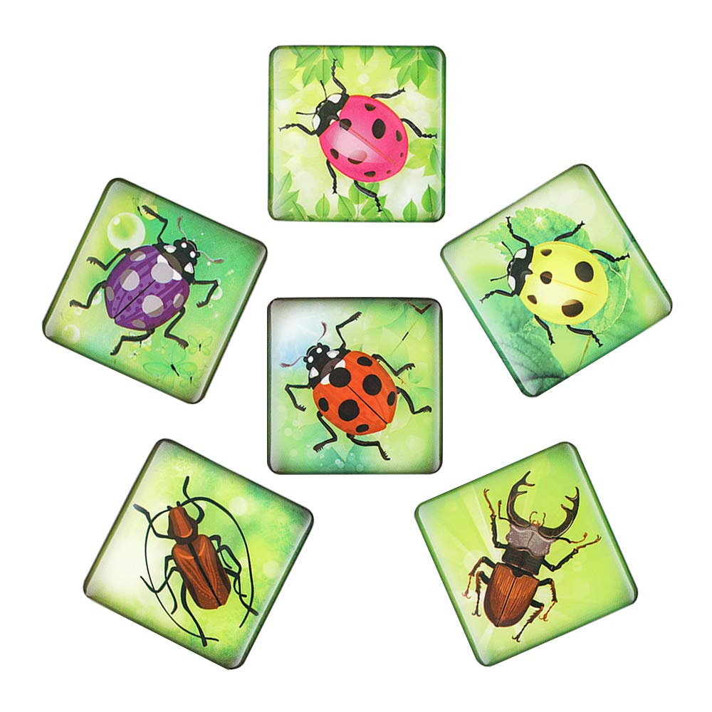 Buy Morcart Cute Beetle Refrigerator Decorative for Fridge