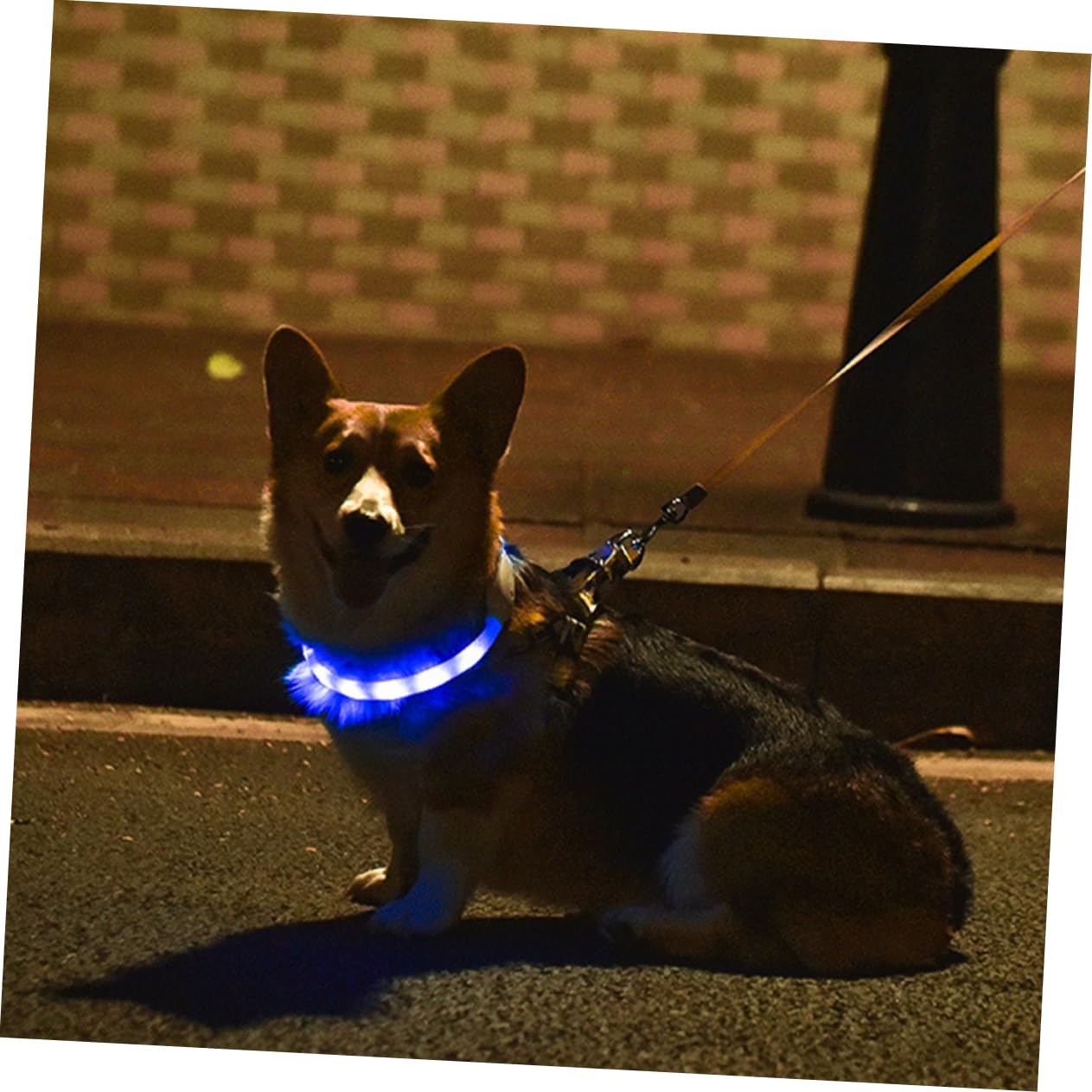 INOOMP 2juegos Collar Led para USB y para Seguridad Nocturna Collar Luminiscente para