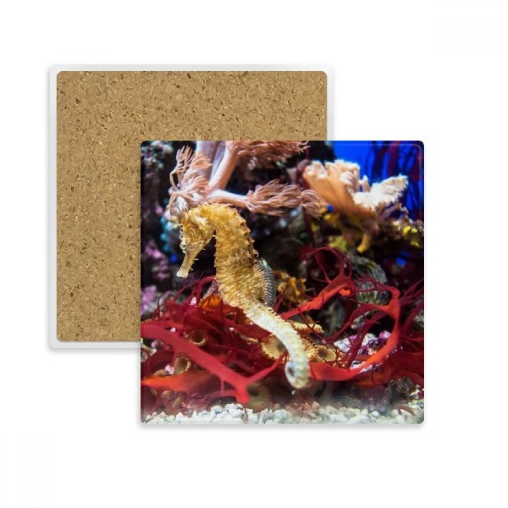 Tasse d'eau carrée coaster hippocampe pierre absorbante multicolor