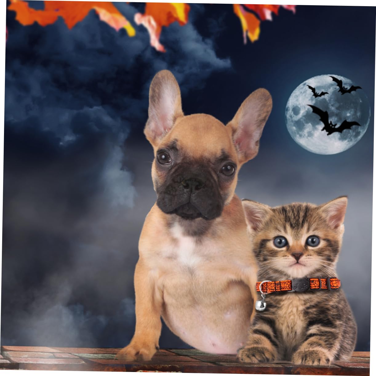 BESPORTBLE 9pezzi Collare Per Gatti Halloween Regolabile Con Campanellino Da Pumpkin Skull Spider Web Accessorio Festivo Per Feste Di Halloween Degli Animali Domestici