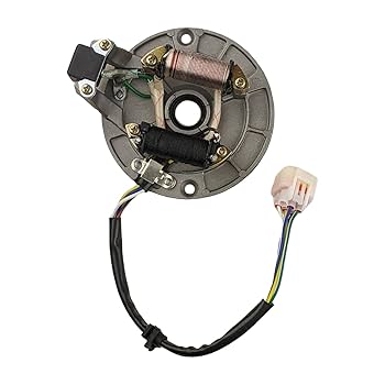 Amazon.com: RedCap 2-Coil 5-Wire Stator Magneto With Plate