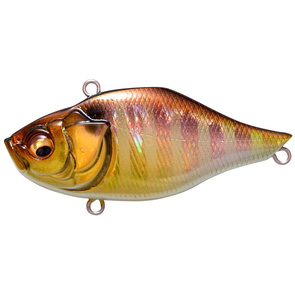 Amazon.co.jp: メガバス(Megabass) ルアー FERMATA(フェルマータ) GG