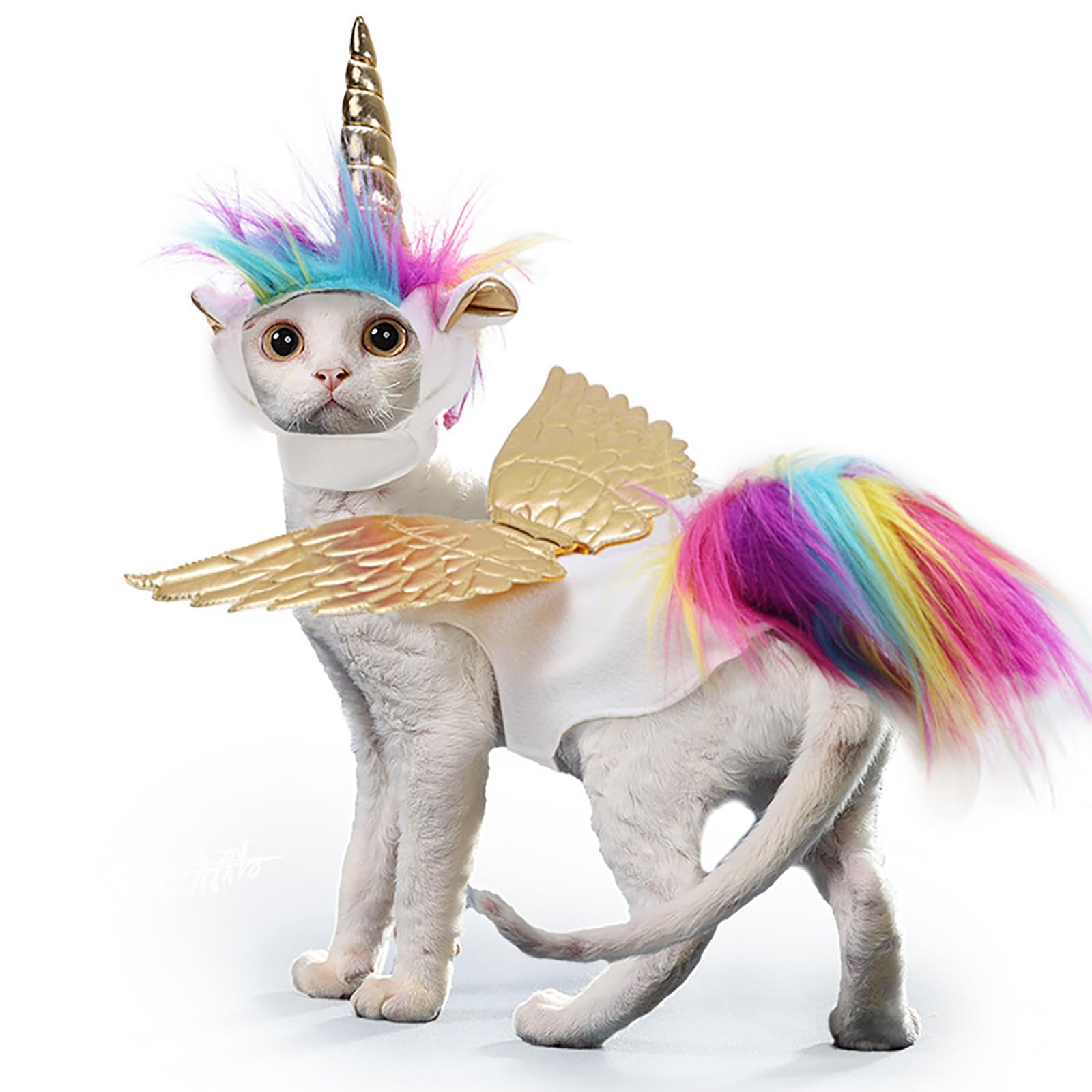 Costume d'Halloween pour chat chiot licorne chapeau ailes dorées cape avec queue arc-en-ciel et crinière - Costume de cosplay - Tenue pour petit chien et chat