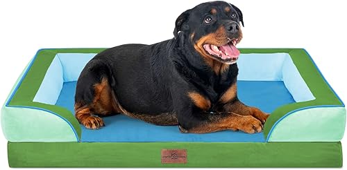 Miniatura 87 de Comfort Expression - Cama ortopédica perros pequeños, 20 x 14 pulgadas, impermeable, espuma soporte cartón de huevo, cojines extraíbles, sofá con