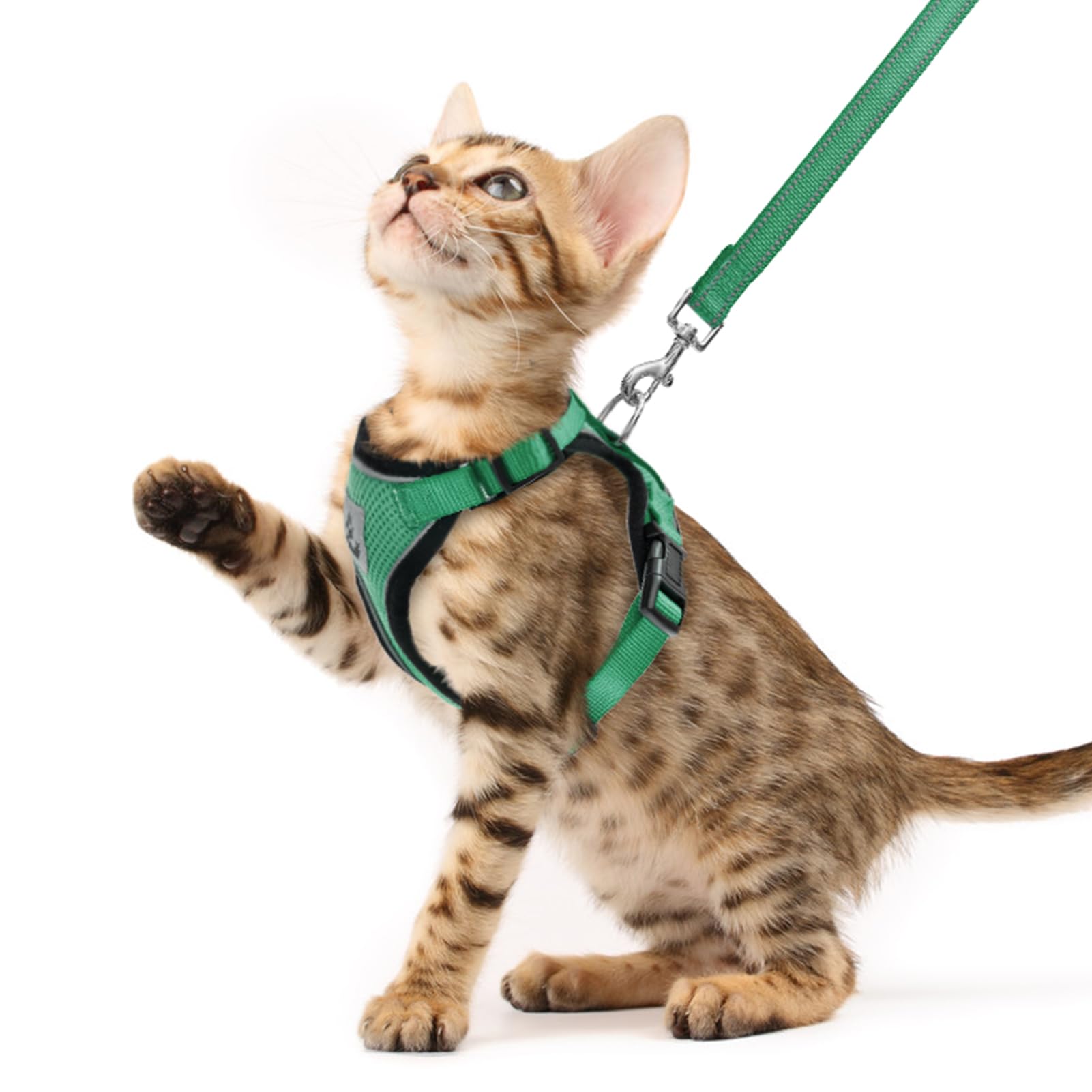 PUPTECK Cat Harness and Leash Set Escape Proof Reflective Cat Walking Harness Adjustable Soft Breathable Mesh Vest for Small Pets, Dark Green, XS