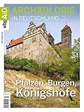 Pfalzen, Burgen, Königshöfe: Schauplätze der Ottonen am Harz - Herausgeber: Felix Biermann, Harald Meller 