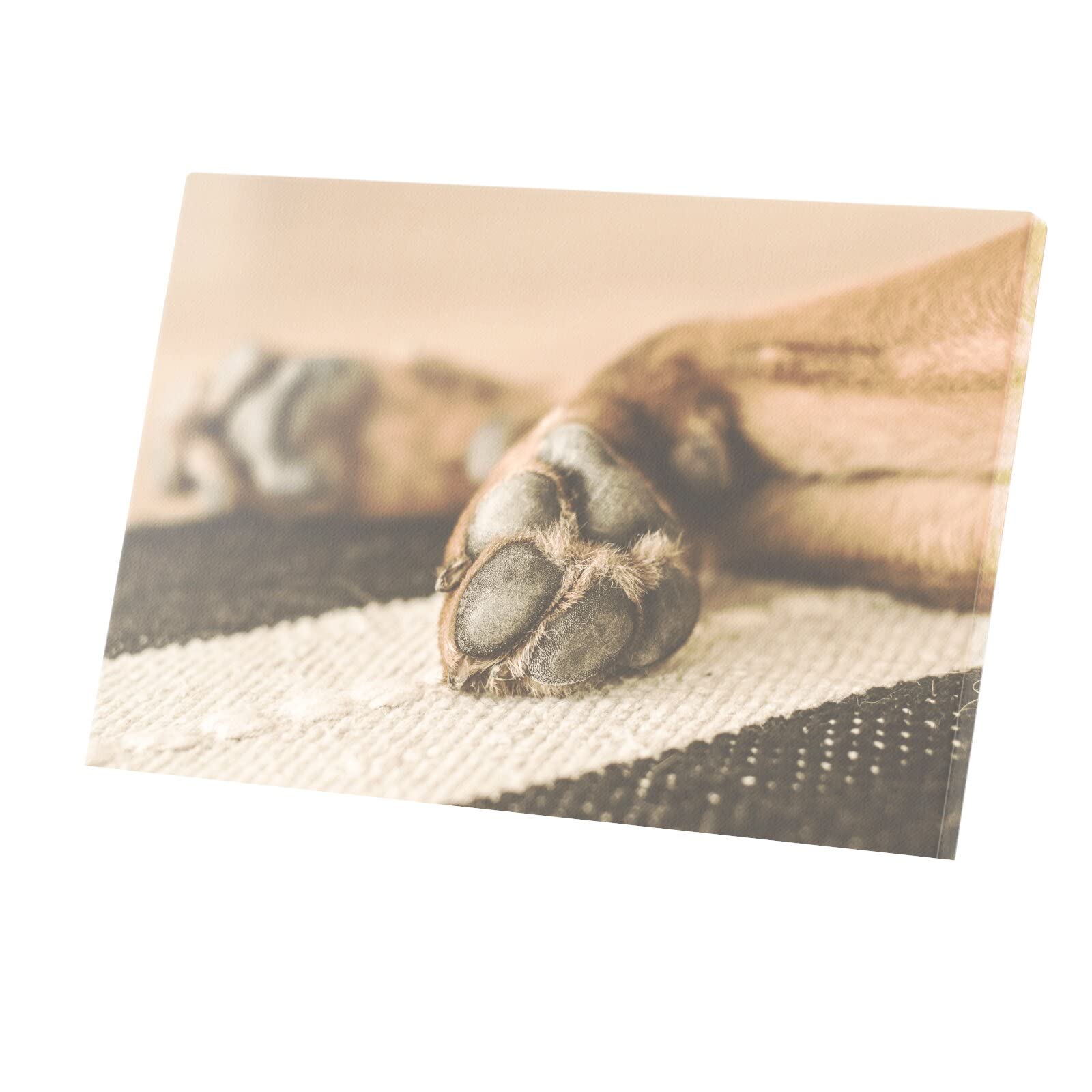 Tableau déco patte de chien pour sublimer vos murs vides - 4