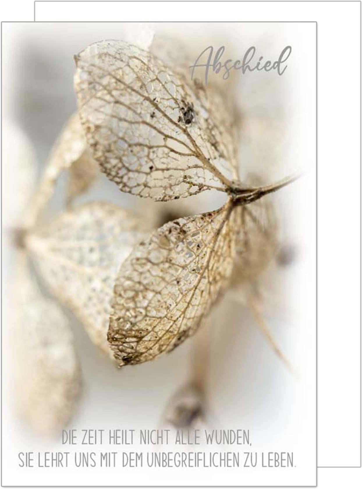 Edition Seidel Premium Trauerkarte mit Silberprägung und Umschlag ...