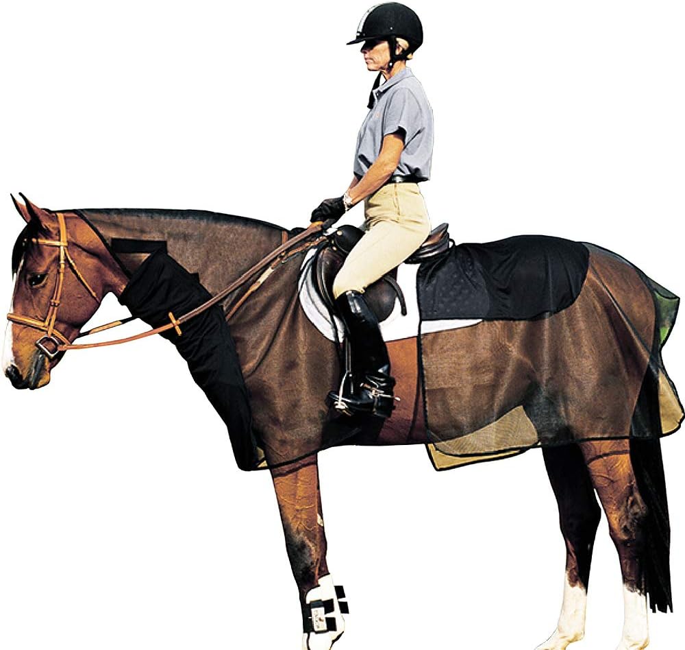 Cashel Quiet Ride Horse Bug Armor Bundle Set