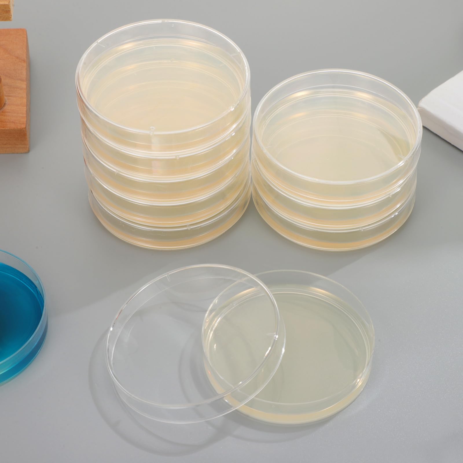 Placas de Petri Agar Prevertido 20 Piezas para Cultivo de Tejidos en Laboratorio, Material Microbiológico Crecimiento Rápido para Experimentos Científicos