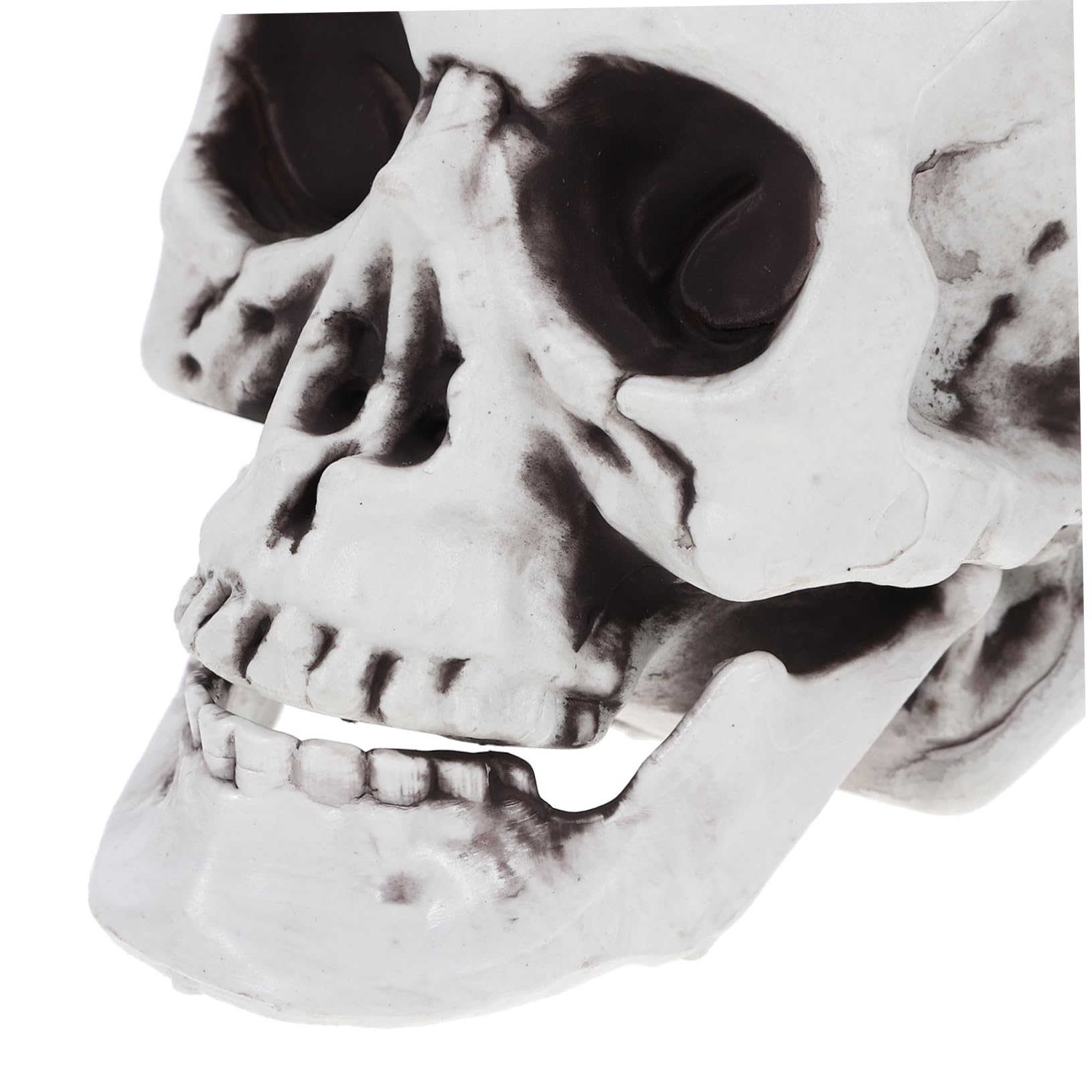 ibasenice 2 Juegos de Decoraciones de Calaveras de Halloween Calaveras de Plástico para Fiesta Accesorios de Esqueleto Accesorios de Calavera para Casa Fantasma 4 Piezas