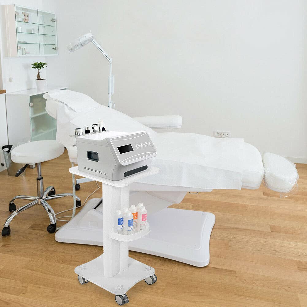 Carrello cosmetico da salone – Trolley portatile Beauty Salon in ABS con vano portaoggetti e ruota del freno – Spa Salon Barbiere Rolling Carrello per strumenti di bellezza e scopi medici