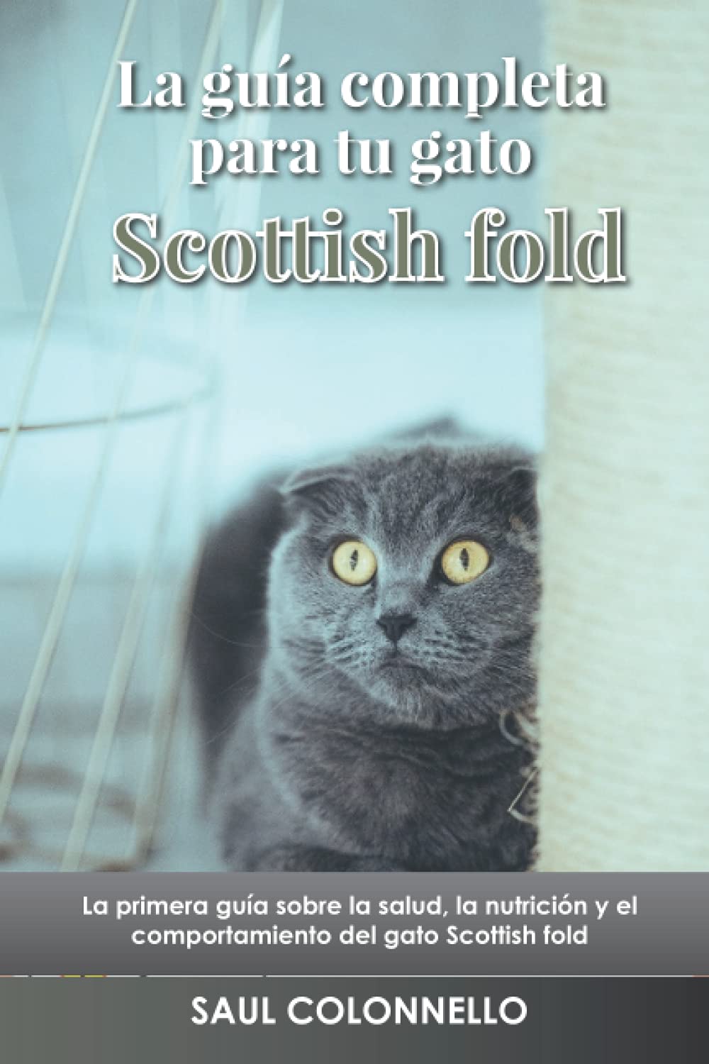 Buy La guía completa para tu gato Scottish fold: La primera guía sobre ...