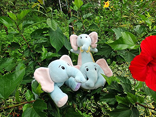 ẑ KK ʂ Ԃ񂾂MtgZbg3g 