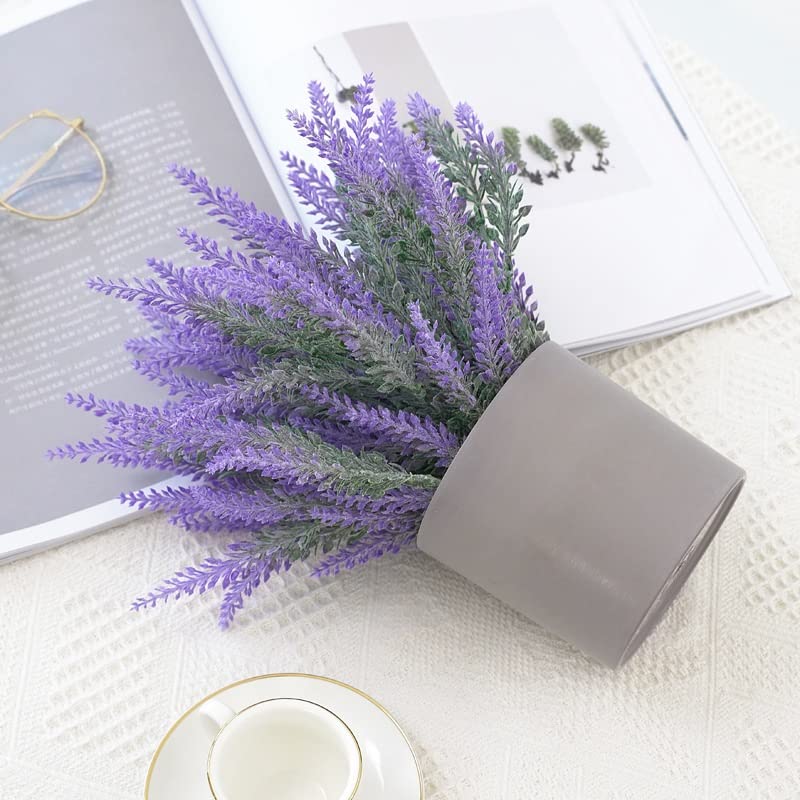 Mejores review On-line Lavanda planta precio tabla con los diez mejores. 23 Imagen adicional