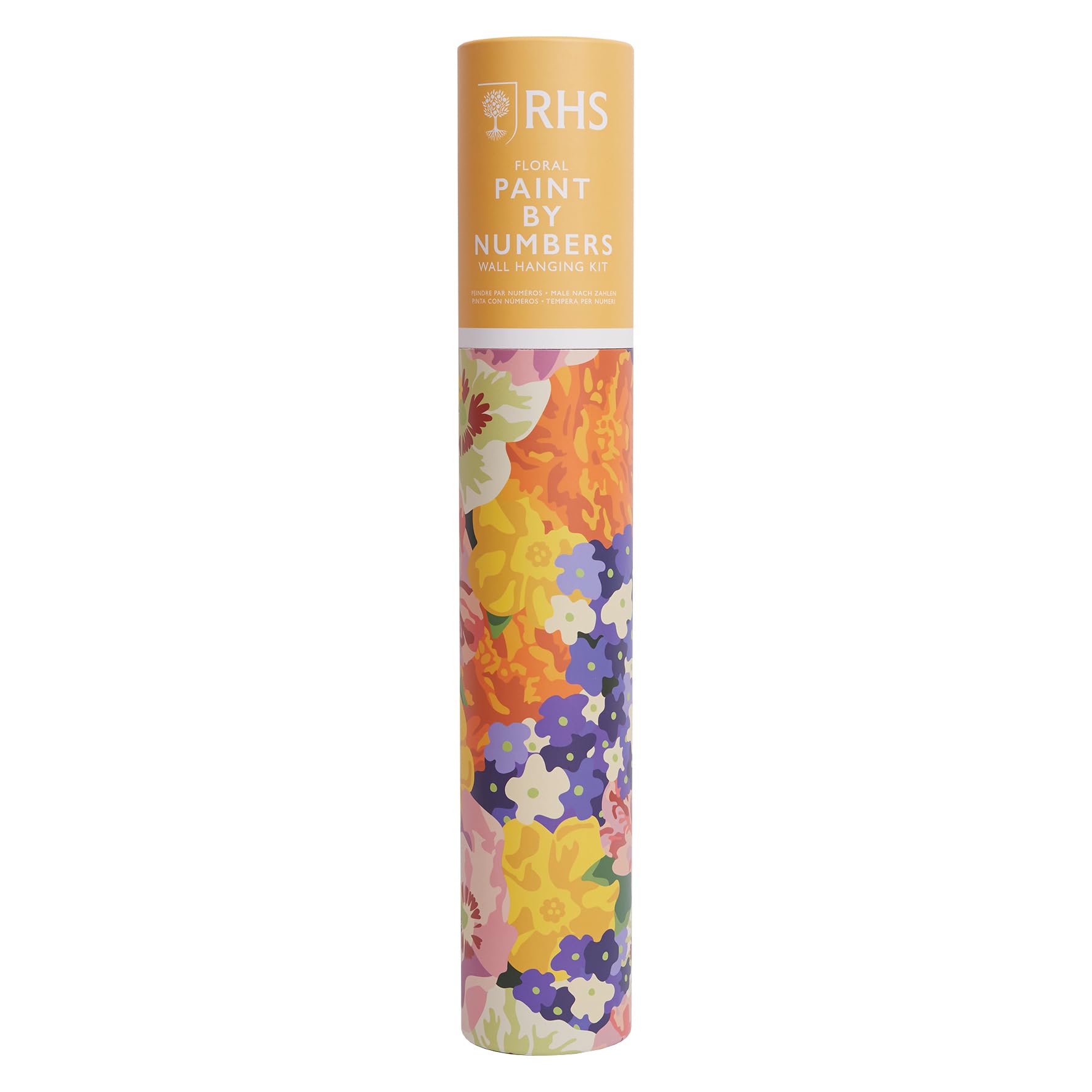 Rhs Multicoloured The Royal Horticultural Society Paint By Numbers Hanging Kit With 24 Paints & 3 Brushes, Floral Design, 400 X 500 Mm, Learn To Paint For Adults