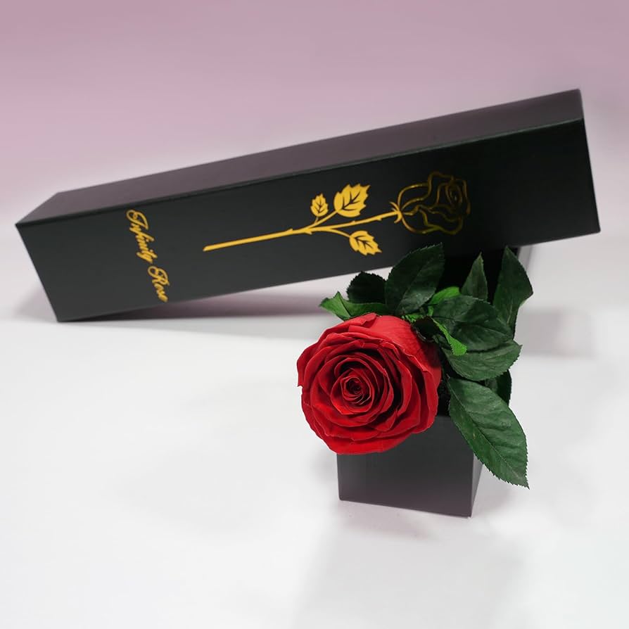 トップス AMICA ETERNAL FLOWER TOP PINK AMICA ETERNAL FLOWER TOP PINK（New Garden Club Journal）