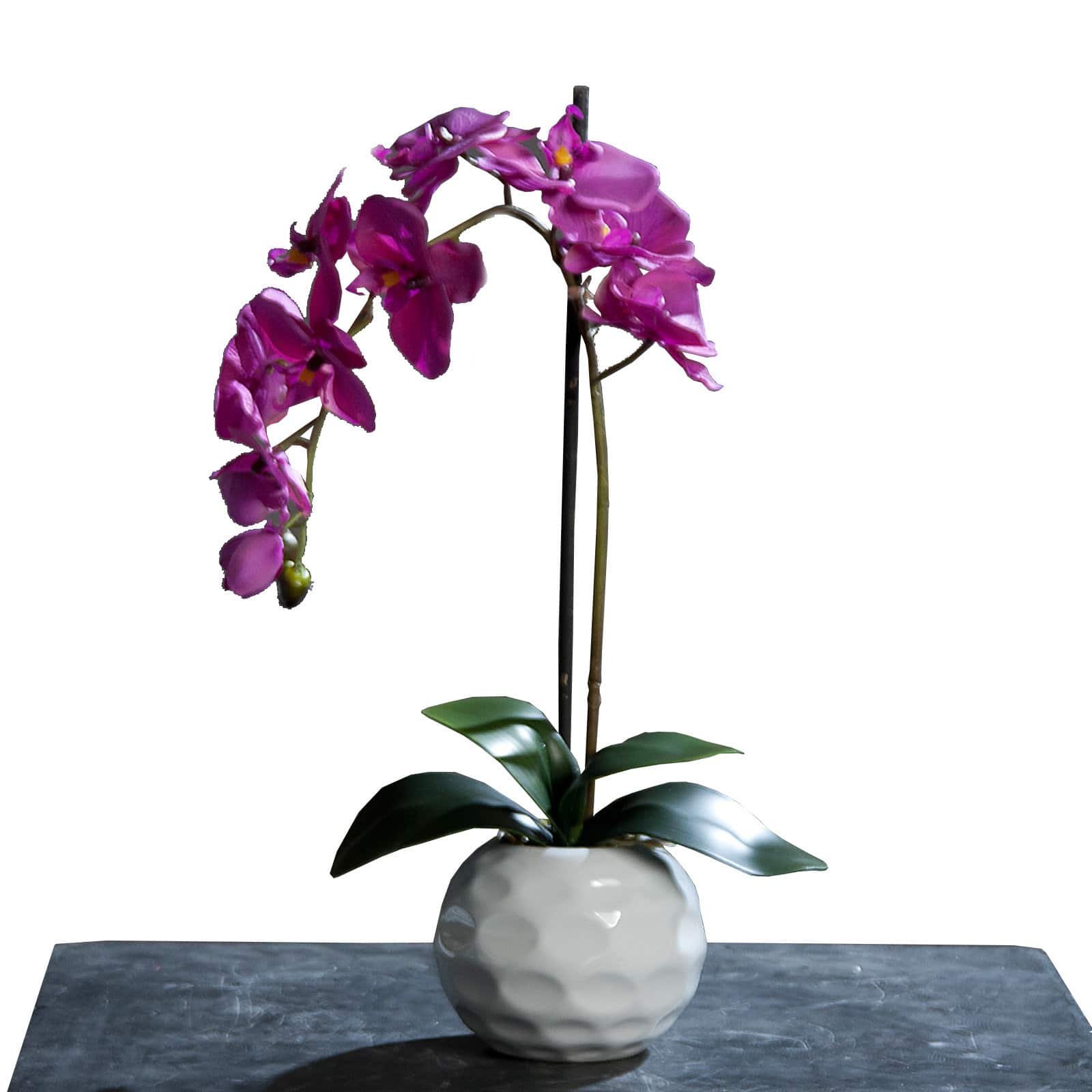 Amazon.de: ROLLER Orchidee-Phalaenopsis - Kunstpflanze - lila