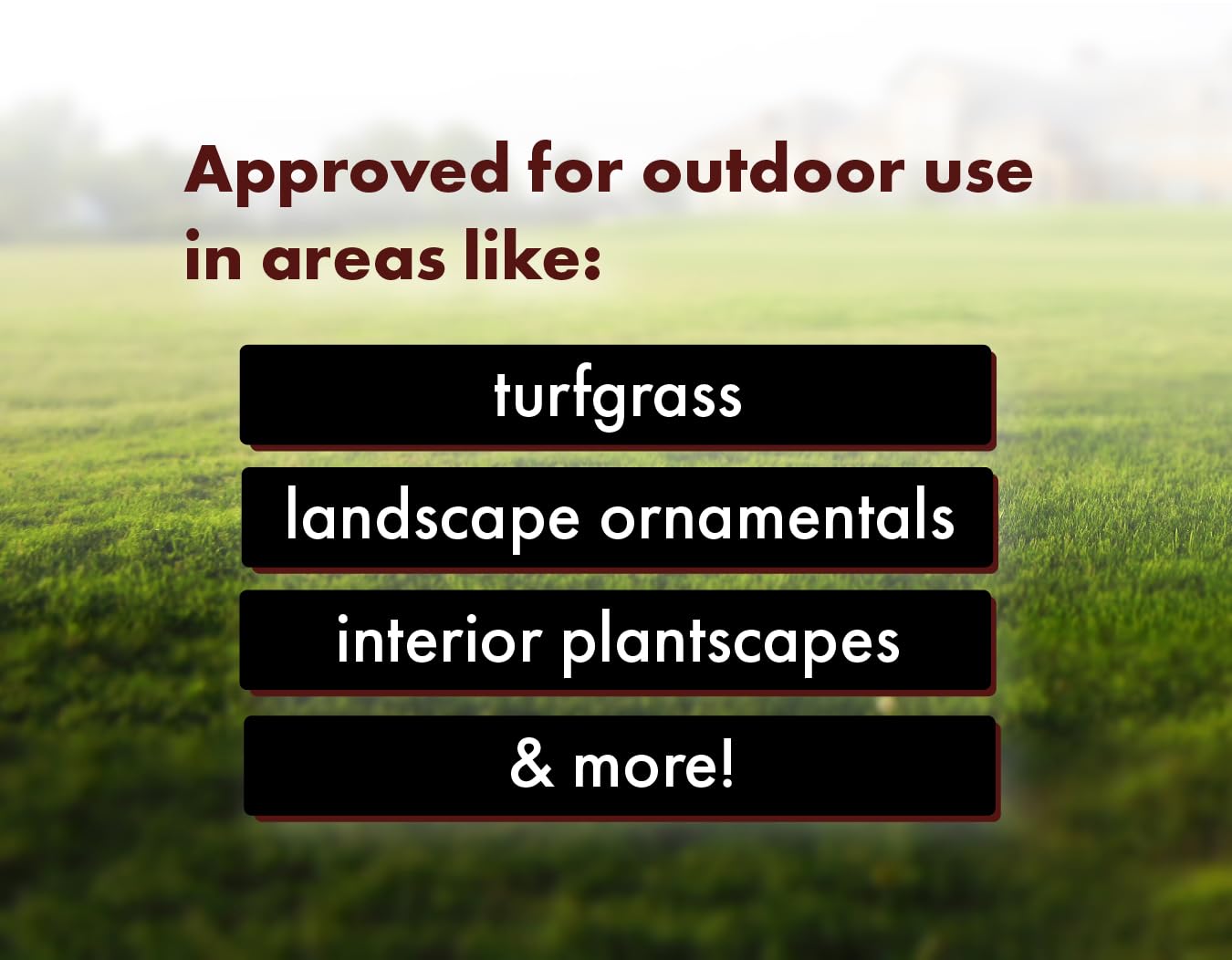 Pro Grub Control – 32oz - Concentrated Imidacloprid (21.4%) Insecticide for Trees, Shrubs & Landscape Ornamentals – Controls Aphids, Japanese Beetles, Weevils, Grub Larvae & More