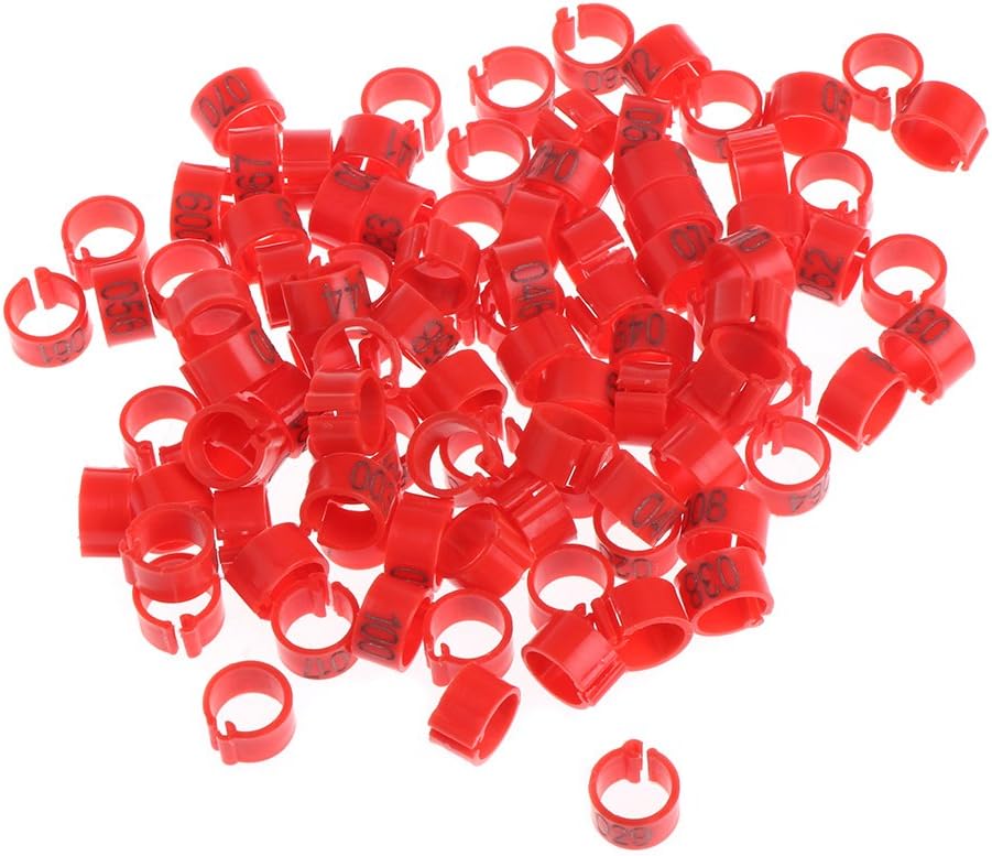 Hardli 100 Pcs Identify Ring Carrier, Bird Parakeet Parrot Pigeon Cockatiel Owl Training Leg Bands, 8mm