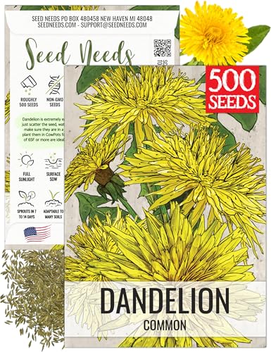 Seed Needs Dandelion Seeds for Planting Taraxacum officinale - Non-GMO Heirloom & Untreated Perennial Herbs - Grow Salad Greens, Food for Tortoises, Rabbits & Bearded Dragons (1 Pack)