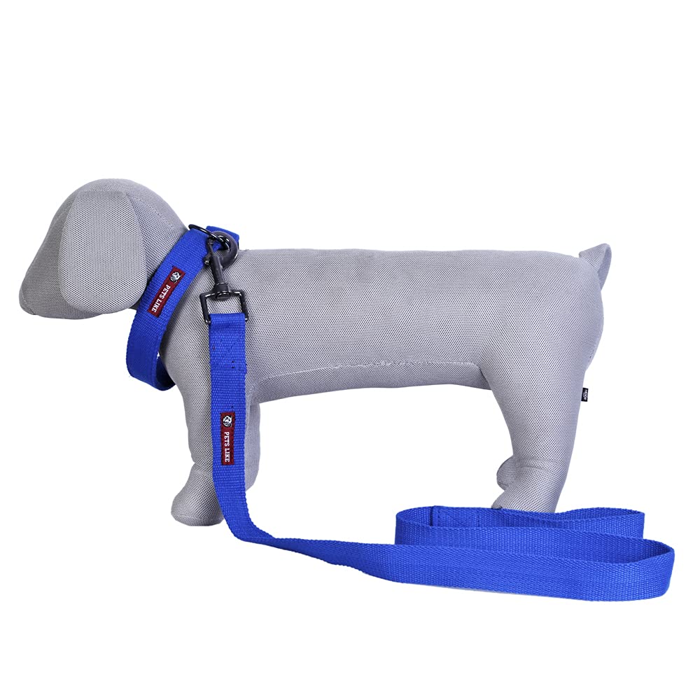 PETS LIKE PREFECT CREATION Spun Poly Collar and Leash Set 38 mm(Royal Blue) (B09D3BJDF6) Amazon Price History, Amazon Price Tracker