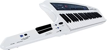Roland ショルダーキーボード AX-1 ソフトケース付属 激レアモデル Roland ショルダーキーボード AX-1