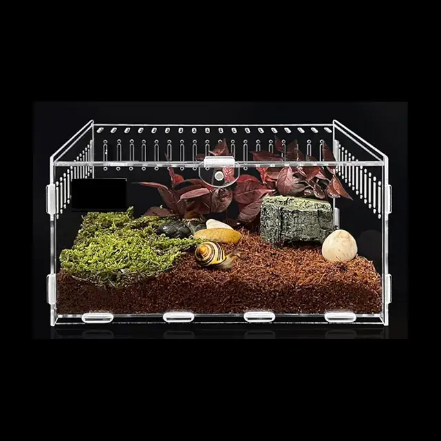 Terrario Pequeño de Acrílico para Reptiles e Insectos 10x8x7cm