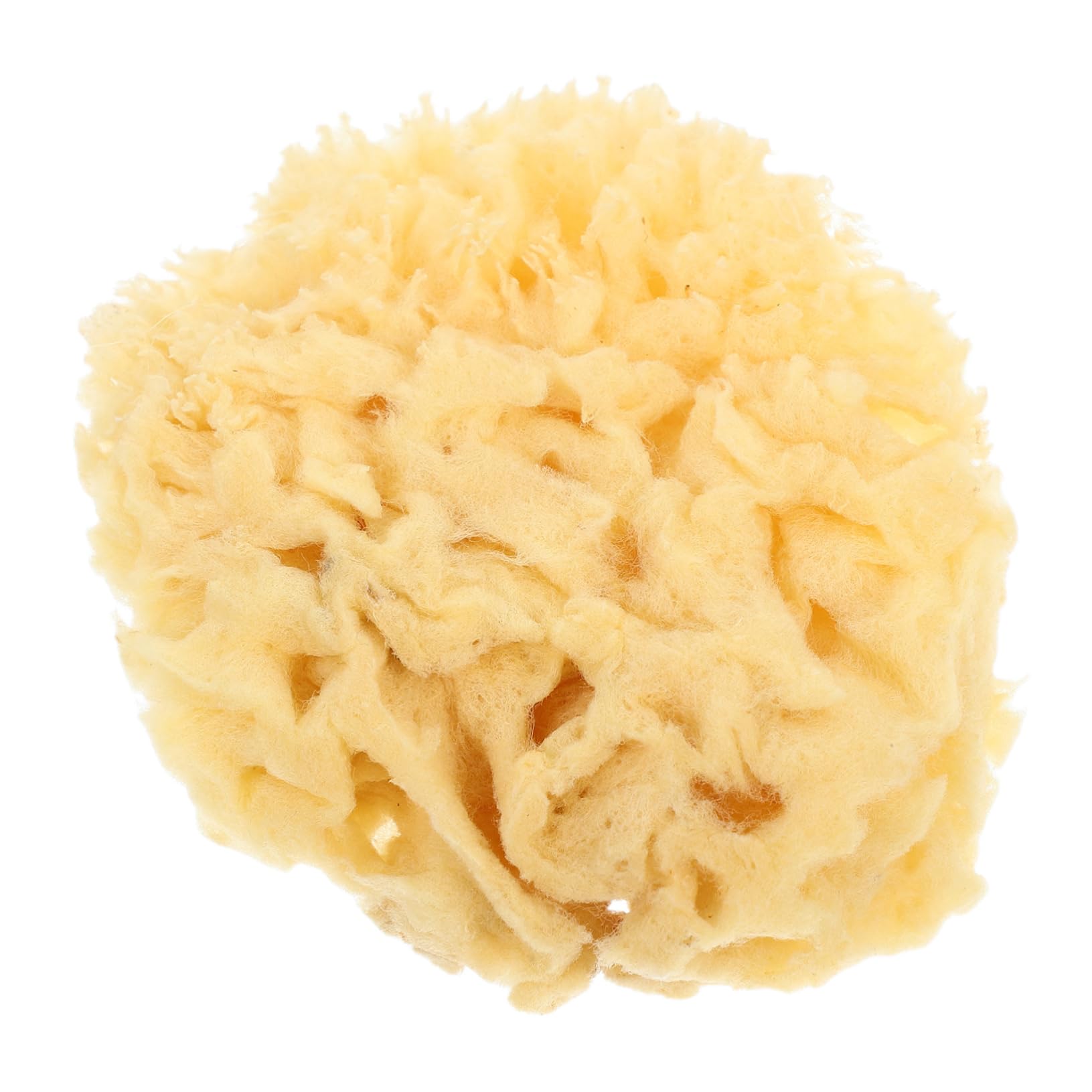 HAWILLOSCH Natural Sea Sponge Artistic Detailing Tool Versatile for Watercolor Acrylic and Texture Painting