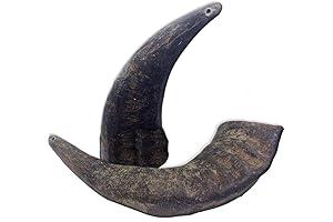 2 Pack of Buffalo Hornz Medium Long Lasting Rhino Horn Dog Chews