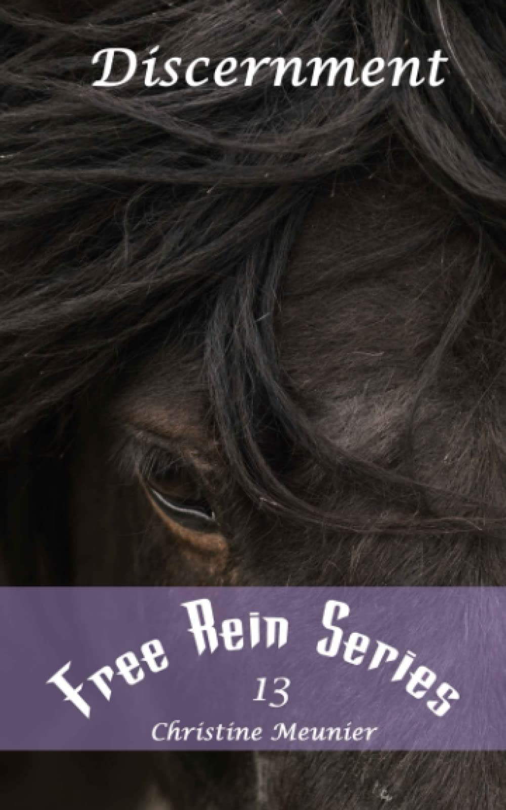 Discernment (Free Rein Series)