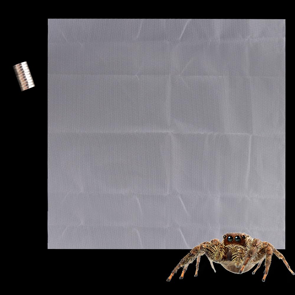 Photo 1 of 1 Pcs Jumping Spider Climbing Net Enclosure Accessories with 10 Pcs Magnet for Tarantula Insect Praying Mantis Jumping Spider Stick Insect (19.6" L, 19.6" W)