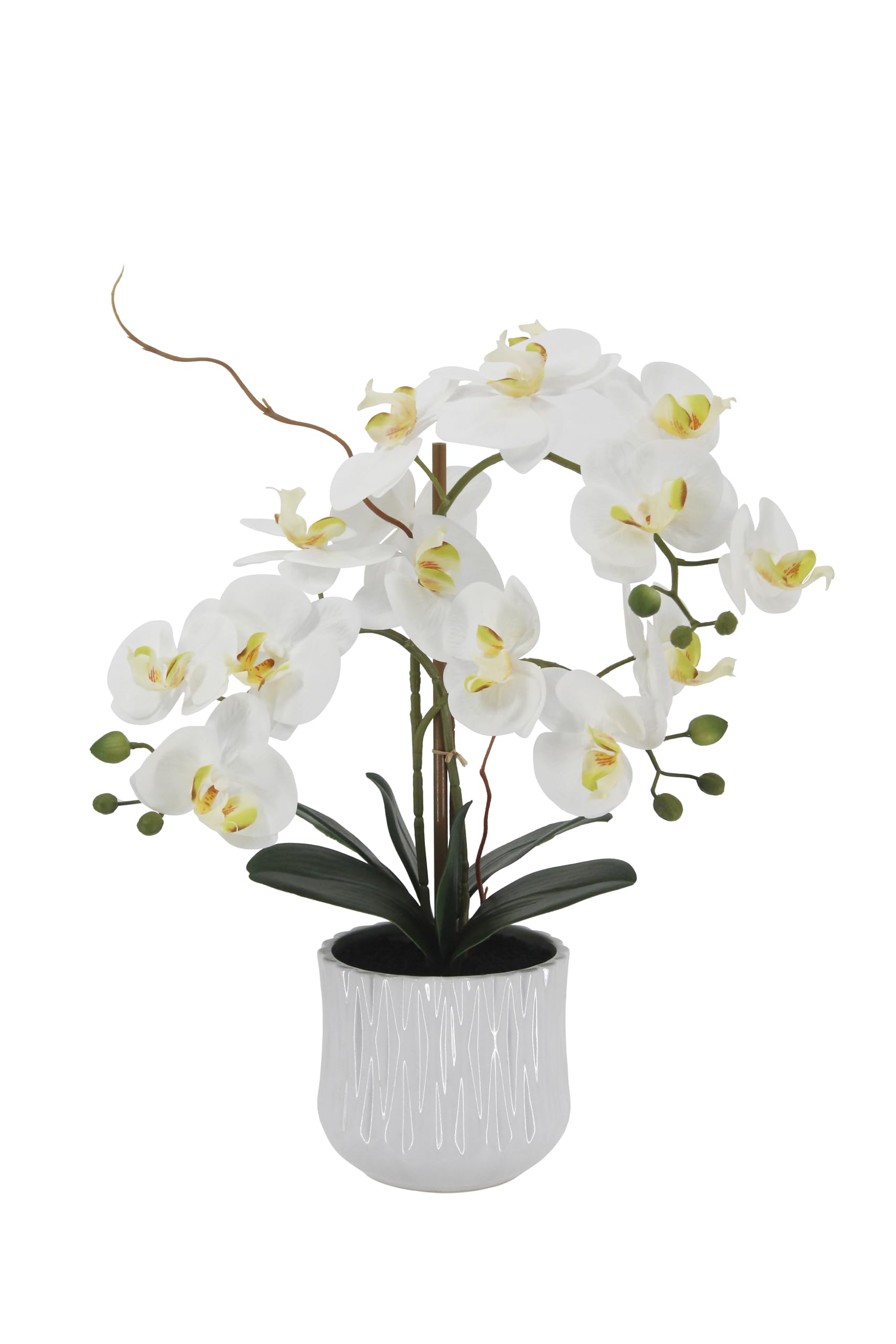 21" 53cm künstliche Orchideenblüten fühlen sich echt an, gefälschte Orchideen-Phalaenopsis-Pflanze im Keramiktopf Kunstorchideen-Seidenblumenarrangement für Heimbüro-Tisch-Badezimmer, doppelte Stiele