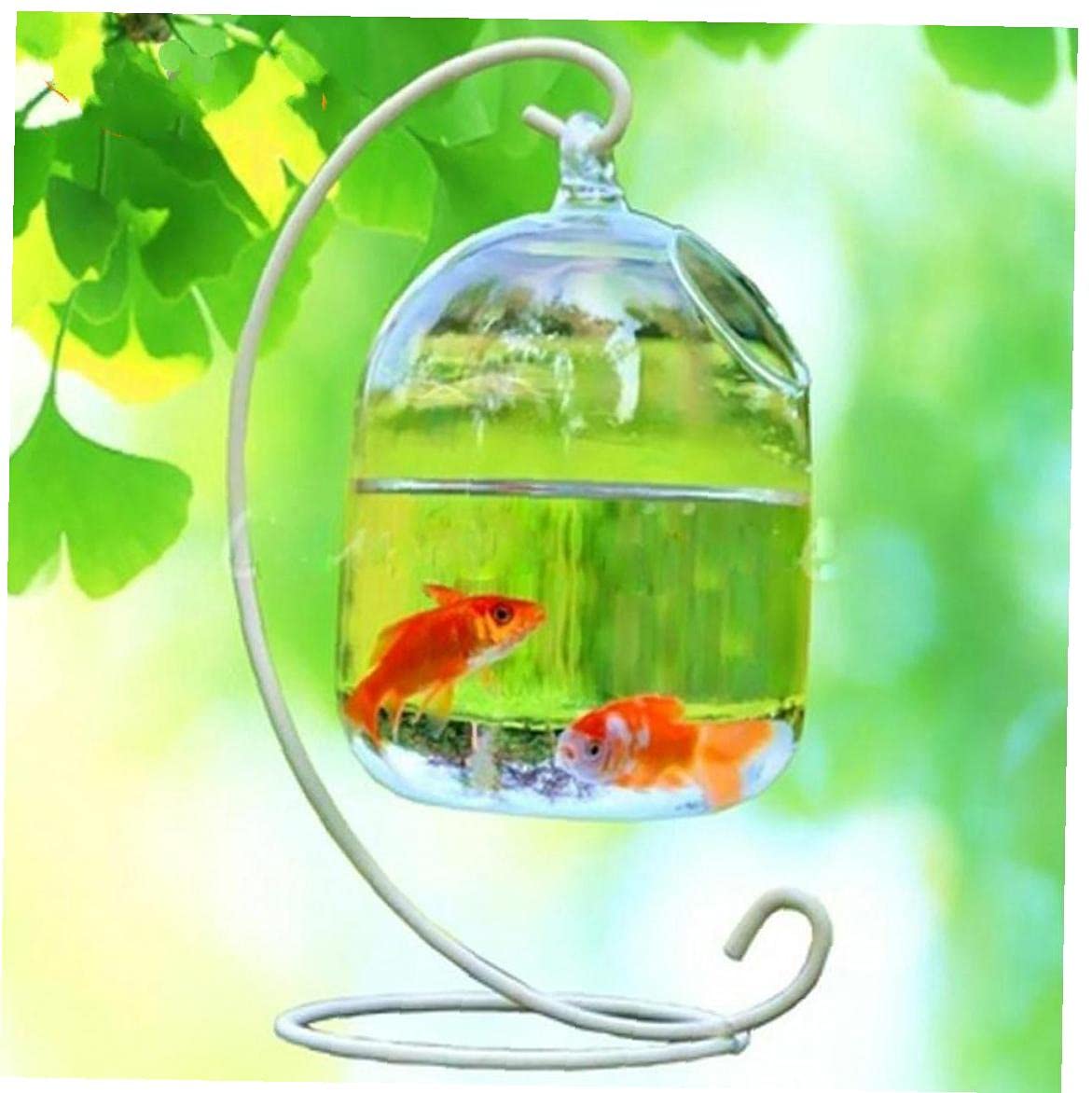 Zonster Creativo Escritorio Pequeño Colgante Acuario Pecera De Cristal del Florero Decoración Fish Tank (n Estantería)