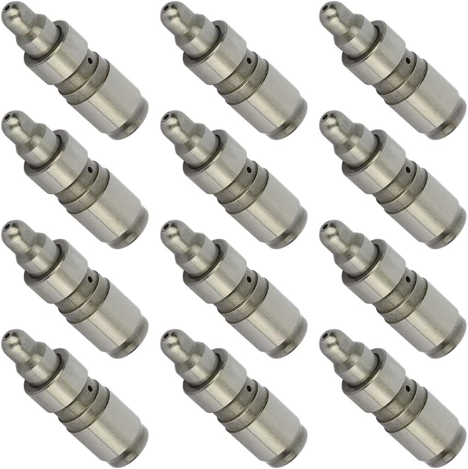 ECCPP Engine Hydraulic Lifter Fit for 1997-2010 for Ford Explorer 2001 2002 2003 2004 2005 for Ford Explorer Sport Trac 2005 2006 2007 2008 2009 2010 for Ford Mustang Set of 12