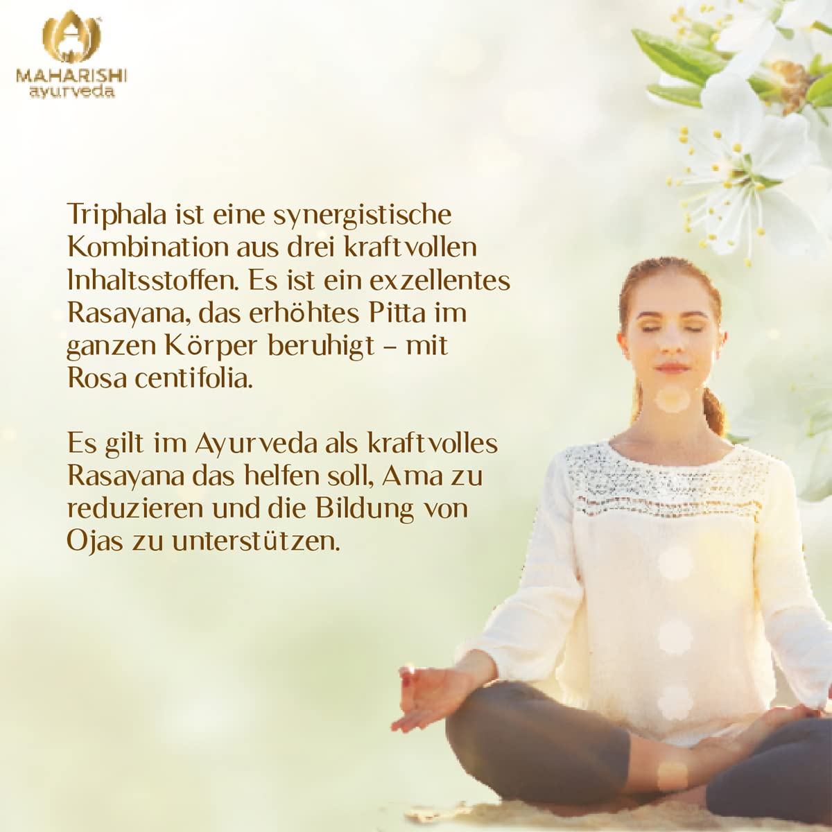 Maharishi Ayurveda Triphala Plus Nahrungsergänzungsmittel aus Indien | Kräutertafeln | Ayurveda -Pflanzenvorbereitung 250 Tabletten Pack von 1