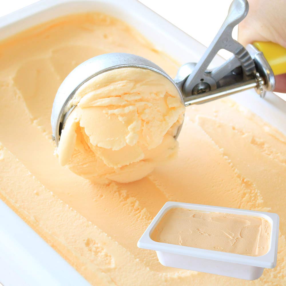 北国からの贈り物 アイスクリーム 業務用 メロン 北海道 くりーむ童話 手づくり アイス