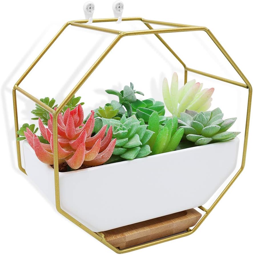 XiaZ Hanging Planter Wall White Hexagon Ceramic, Brass Stand and Bamboo Saucer, Succulent Air Plants Cactus Pearls Vase Holder Container, Flower/ Plants Pots for Indoor or Outdoor Decoration