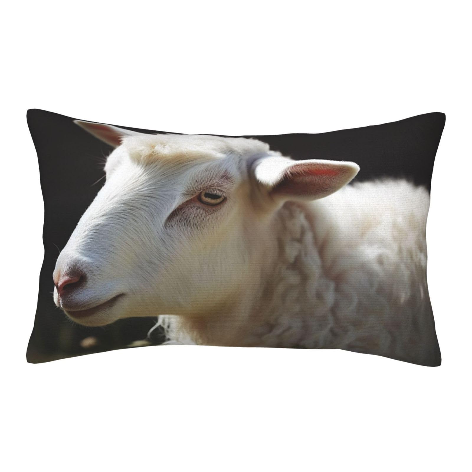 Velvet Pillowcases 20"x30" Ultra Soft Breathable Pillow Cases, Luxury Fuzzy Throw Pillow Covers with Zipper, Sheep Pillow Shams All Seasons Decorative Cushion Cases for Couch