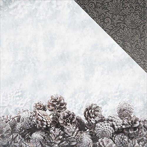 Frosted Double-Sided Cardstock 12X12-Glacial