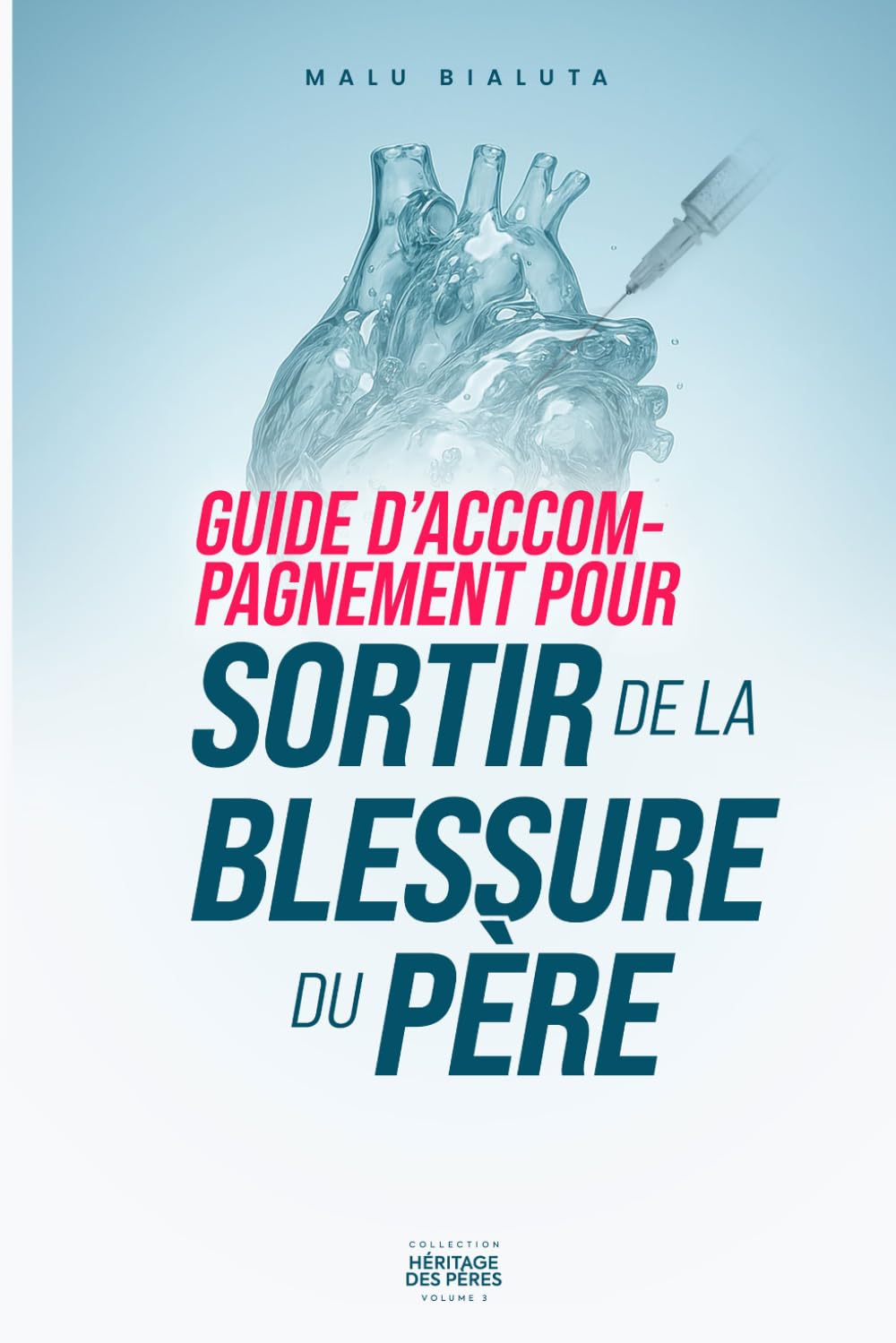 Guide d’accompagnement pour sortir de la blessure du père (Héritage des Pères)